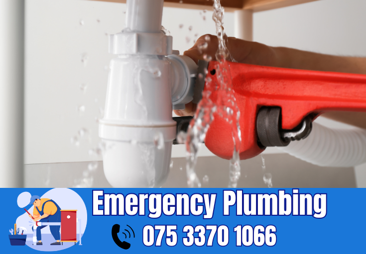  plumber Marden